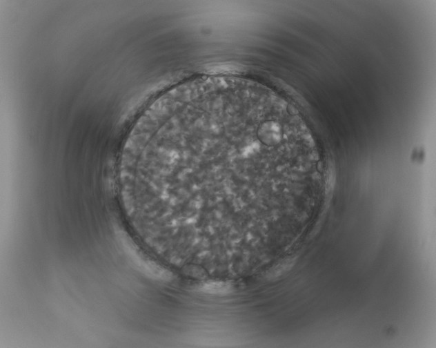 X0000113080353200910091238