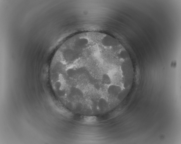 X0000113080355200910091238