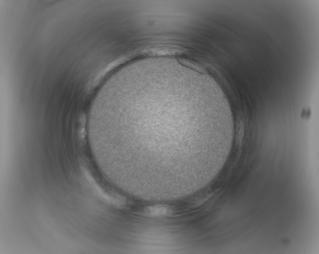 X0000113080356200910091238