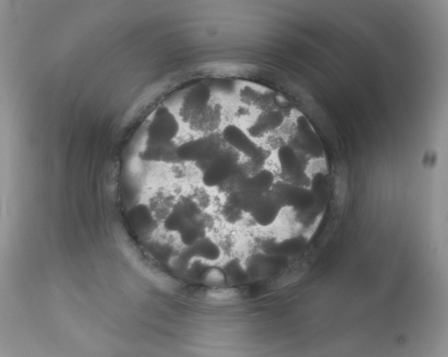 X0000113080357200910091238