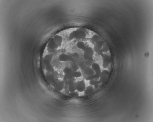 X0000113080358200910091238