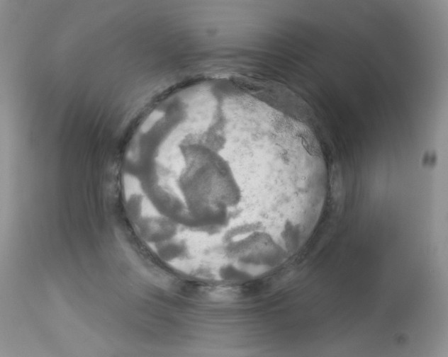 X0000113080359200910091238