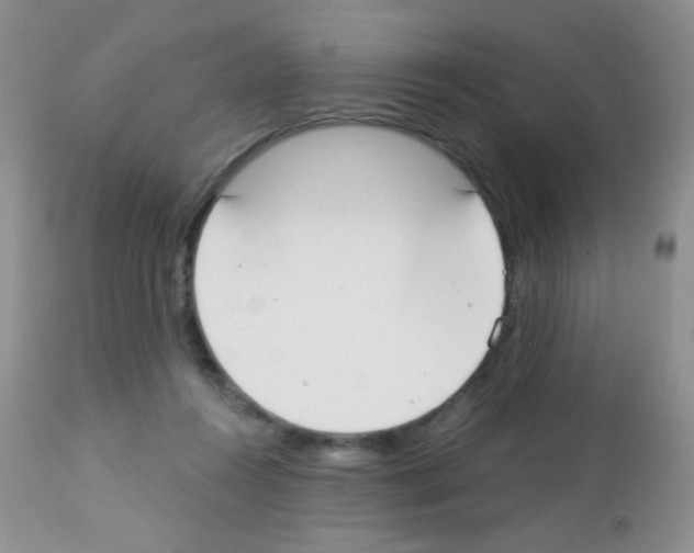 X0000113080360200910091238
