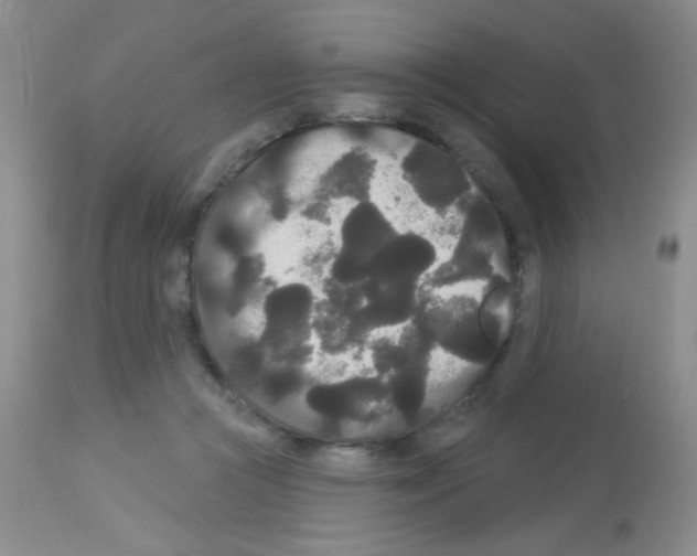 X0000113080361200910091238
