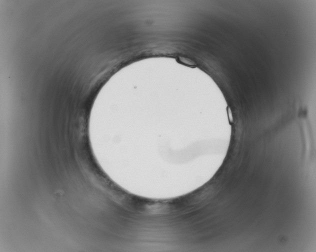 X0000113080362200910091238