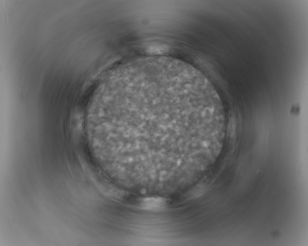 X0000113080363200910091238
