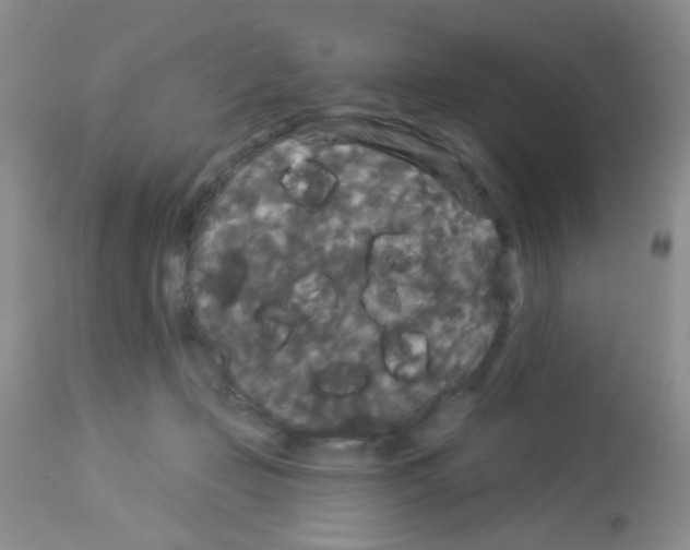 X0000113080365200910091238
