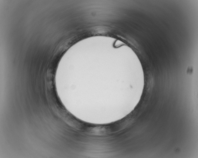 X0000113080366200910091238