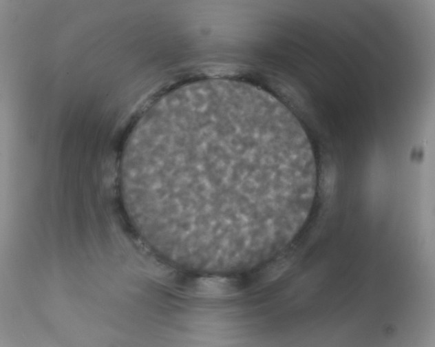 X0000113080367200910091238