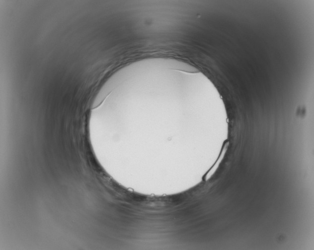 X0000113080368200910091238