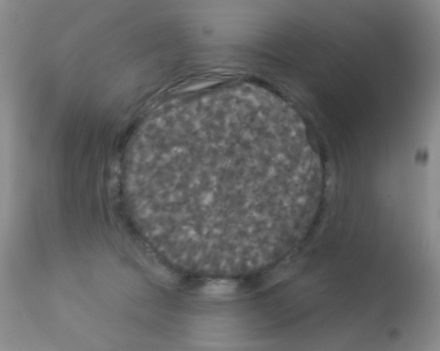 X0000113080369200910091238