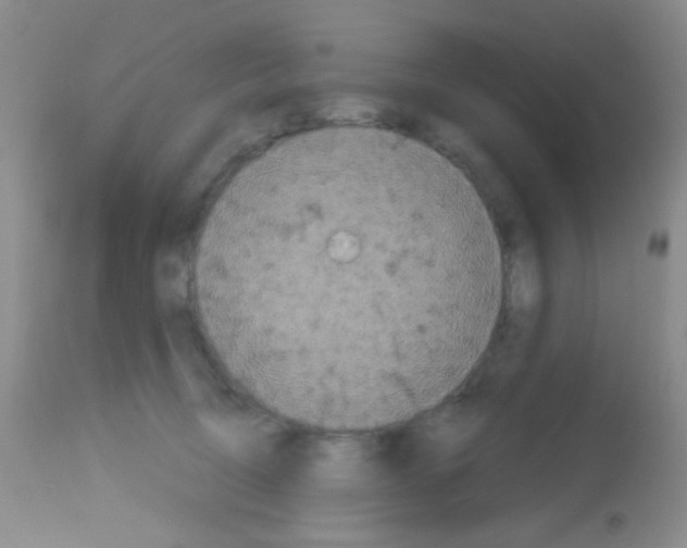 X0000113080370200910091238