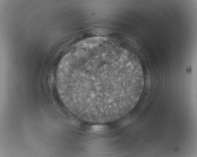 X0000113080371200910091238