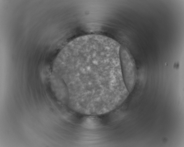 X0000113080372200910091238