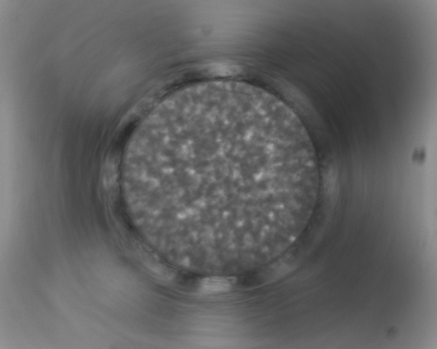 X0000113080373200910091238