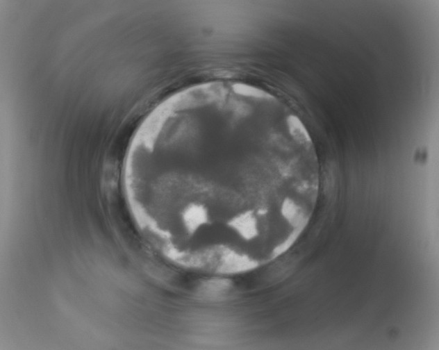 X0000113080374200910091238