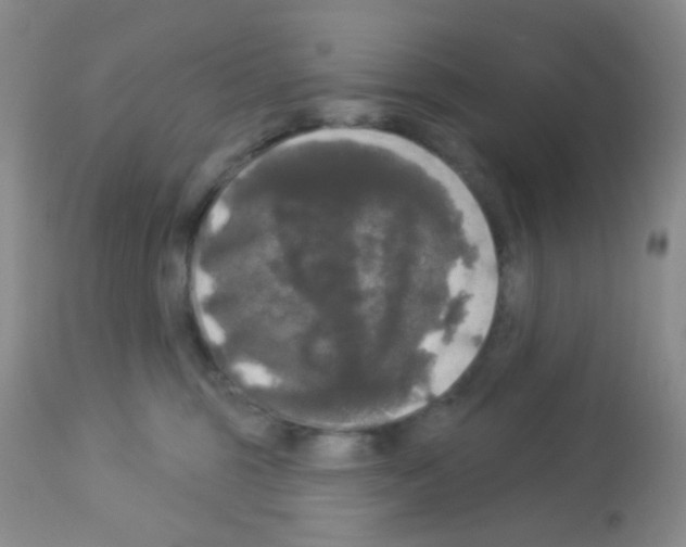 X0000113080375200910091238