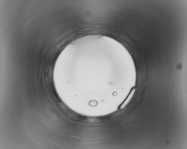 X0000113080376200910091238