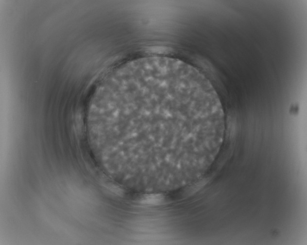 X0000113080377200910091238