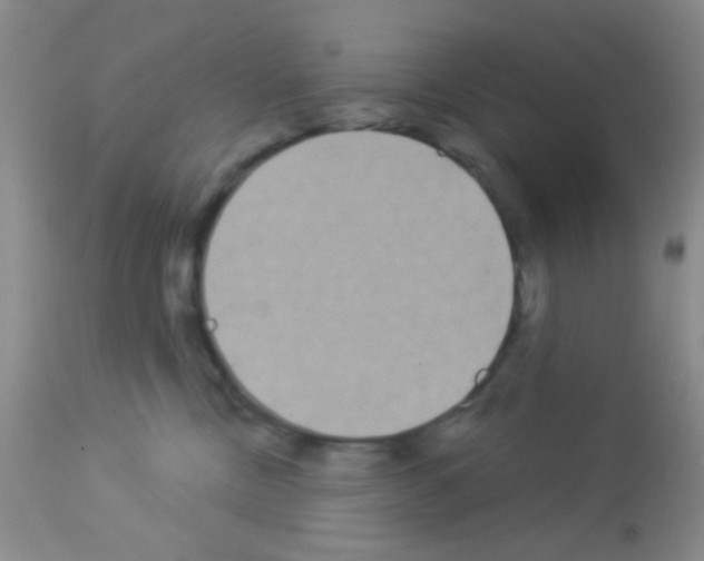 X0000113080378200910091238