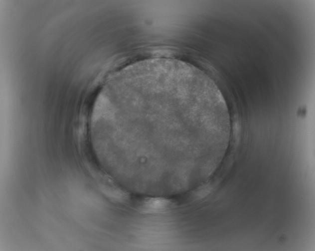 X0000113080379200910091238