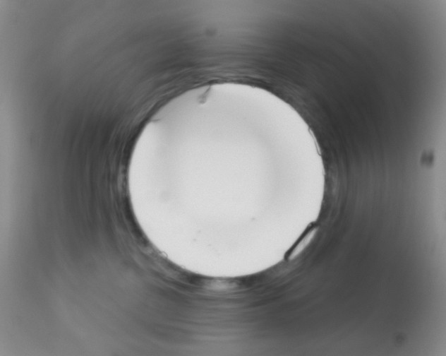 X0000113080380200910091238