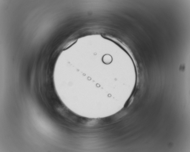 X0000113080382200910091238