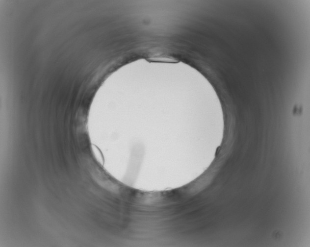 X0000113080384200910091238