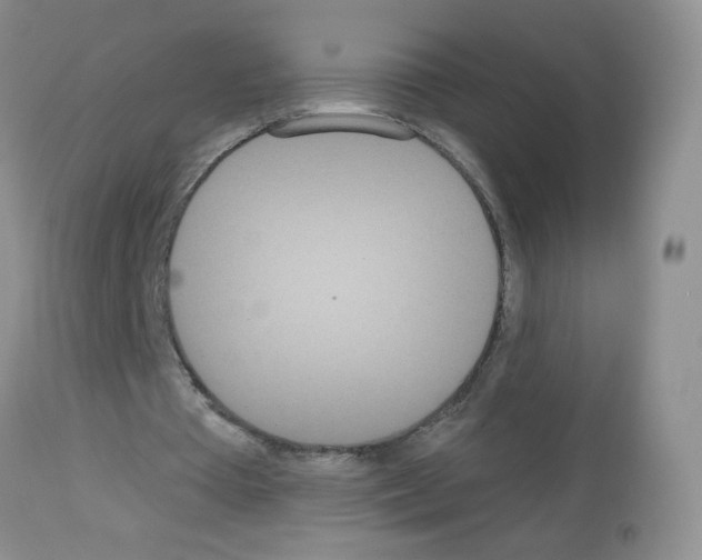 X0000113080385200910091237