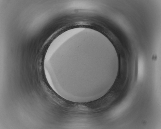 X0000113080387200910091237
