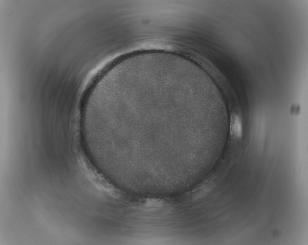 X0000113080388200910091237
