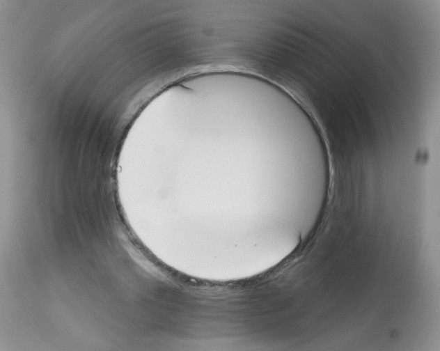 X0000113080389200910091237