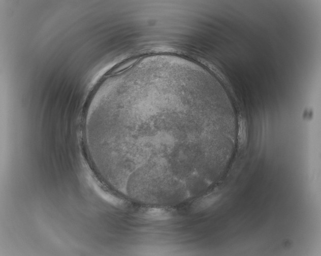 X0000113080390200910091237