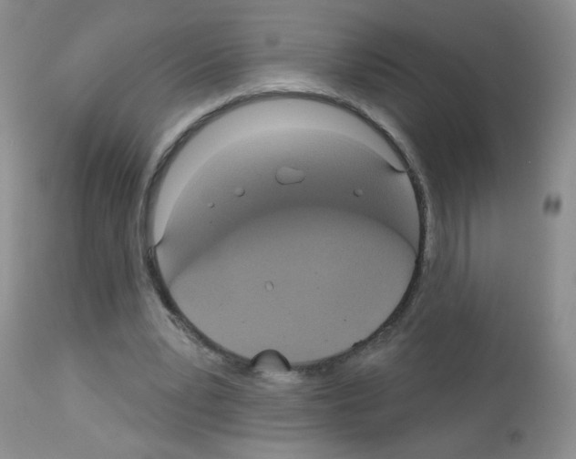 X0000113080391200910091237