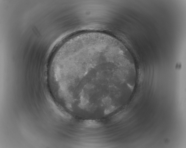 X0000113080392200910091237