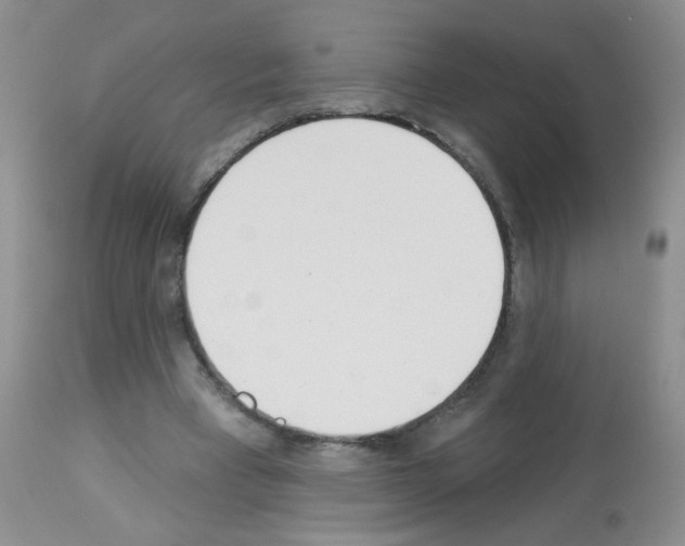 X0000113080393200910091237
