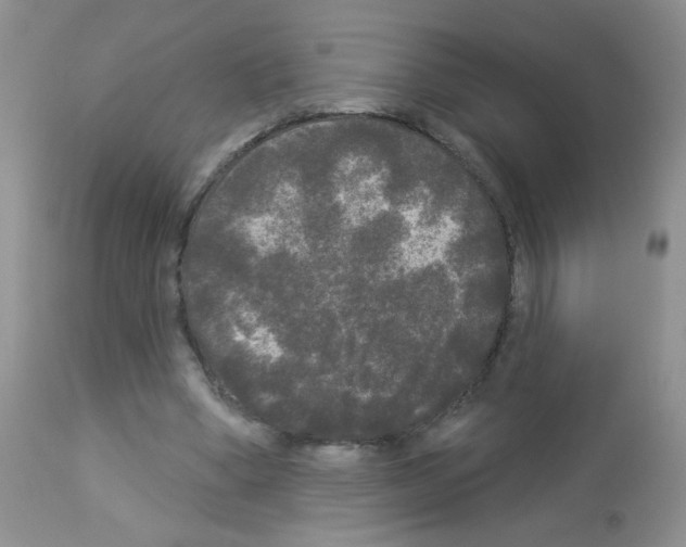 X0000113080394200910091237