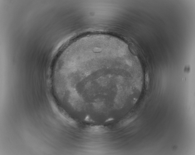 X0000113080396200910091237