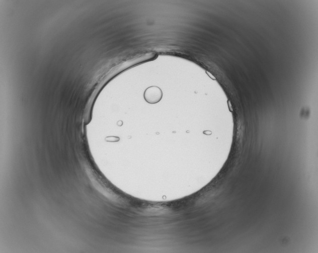 X0000113080397200910091237