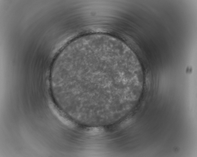 X0000113080398200910091237