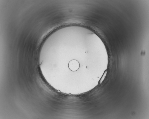 X0000113080399200910091237