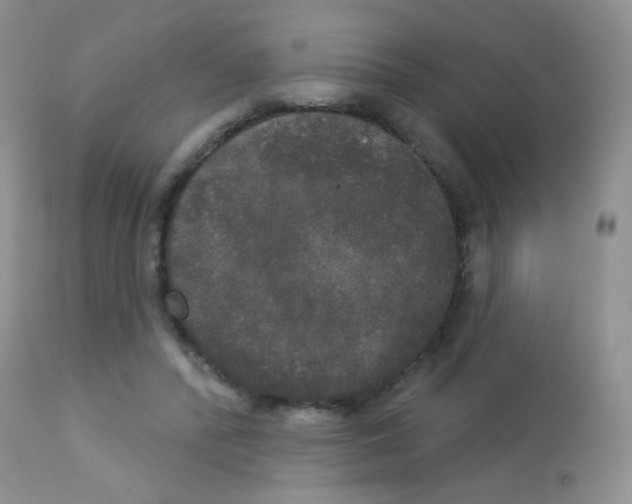 X0000113080400200910091237
