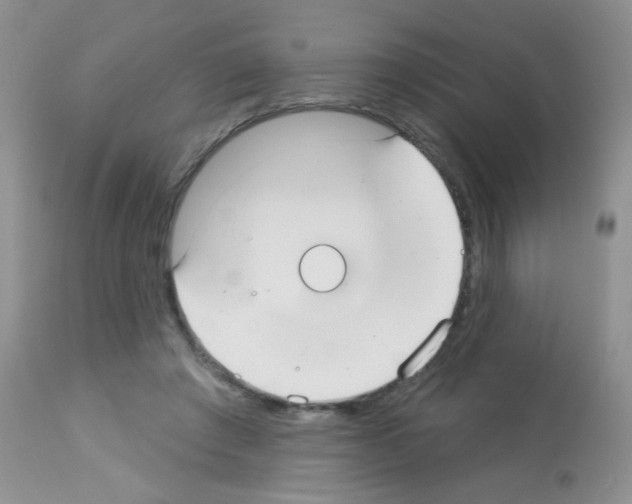 X0000113080401200910091237