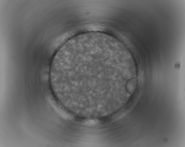 X0000113080402200910091237