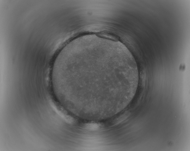X0000113080404200910091237