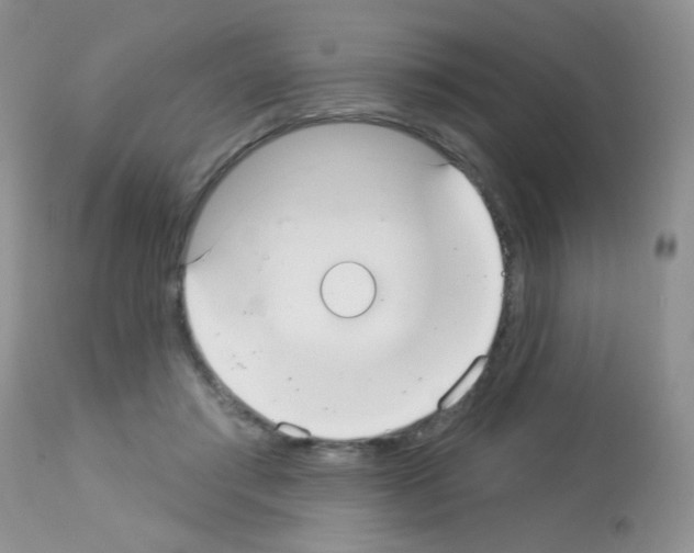 X0000113080405200910091237