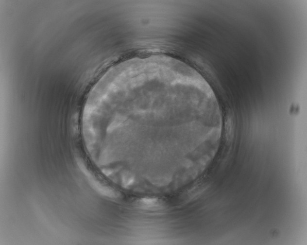 X0000113080406200910091237