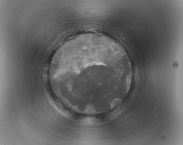 X0000113080408200910091237