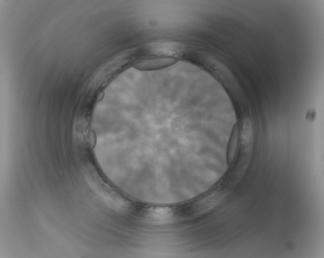 X0000113080409200910091237