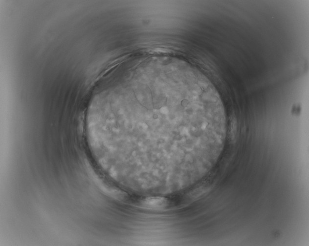 X0000113080410200910091237